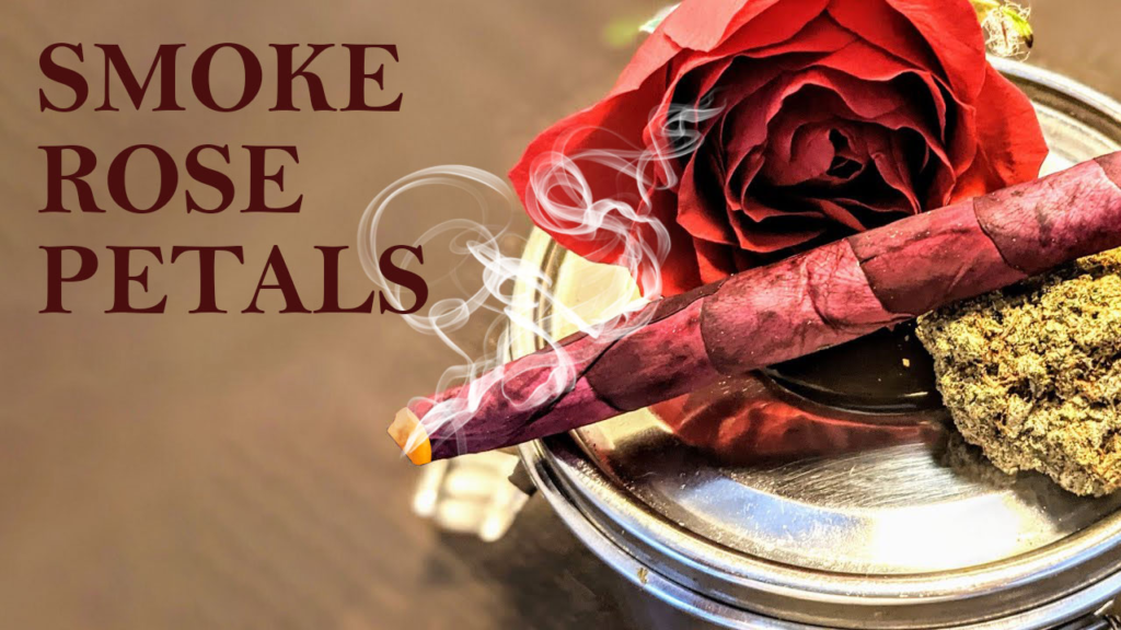 Can You Smoke Rose Petals? How To Roll A Petal Blunt? - The Island Now
